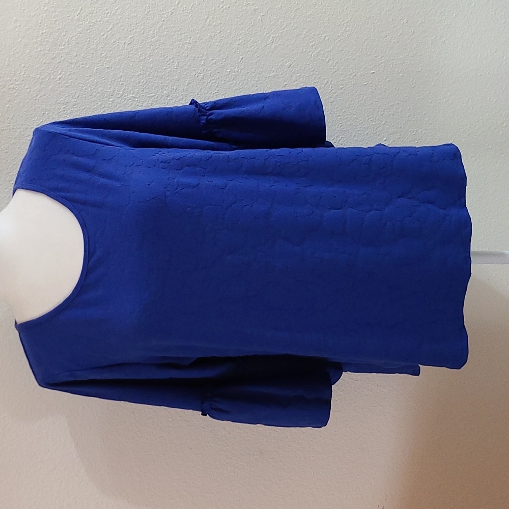 Apt 9 Ruffle Sleeve Top (L)